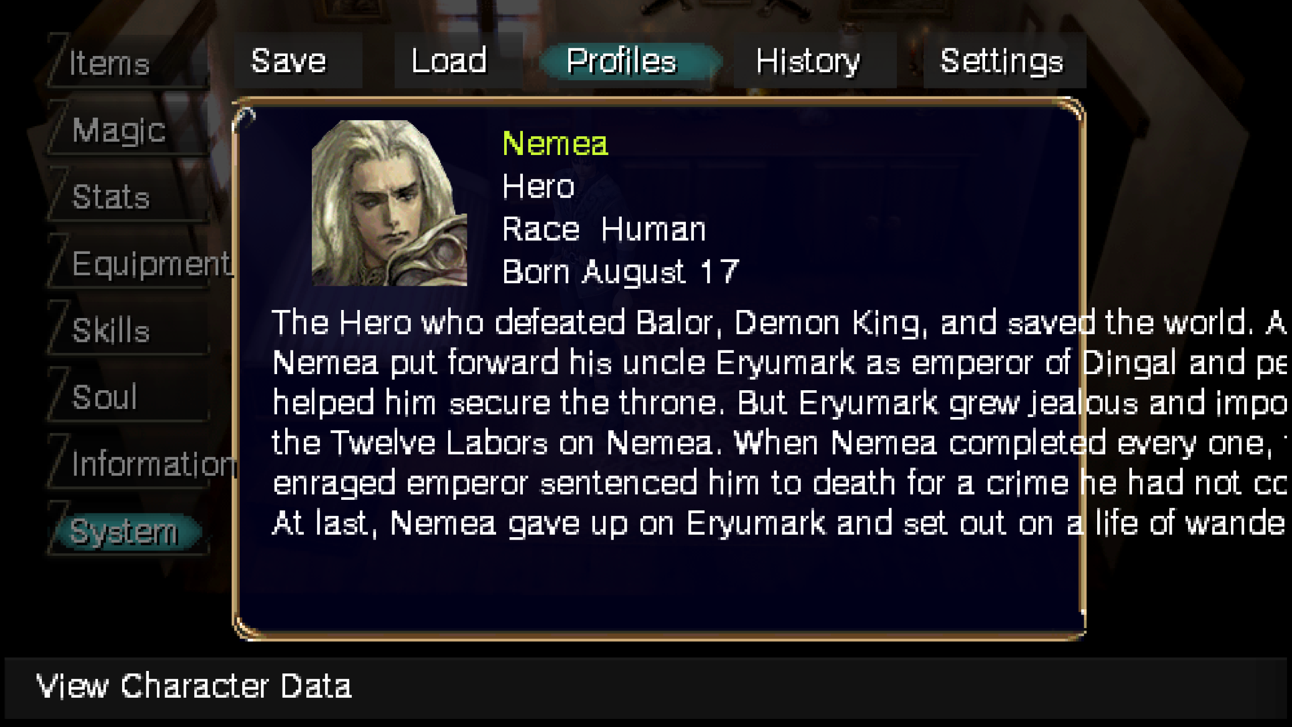 A character profile overflowing its UI panel